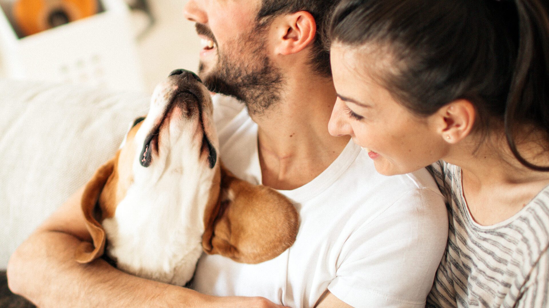 Value and the role of the survey