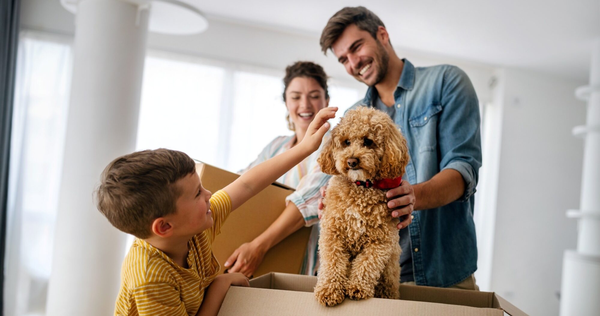 family and dog in box 2